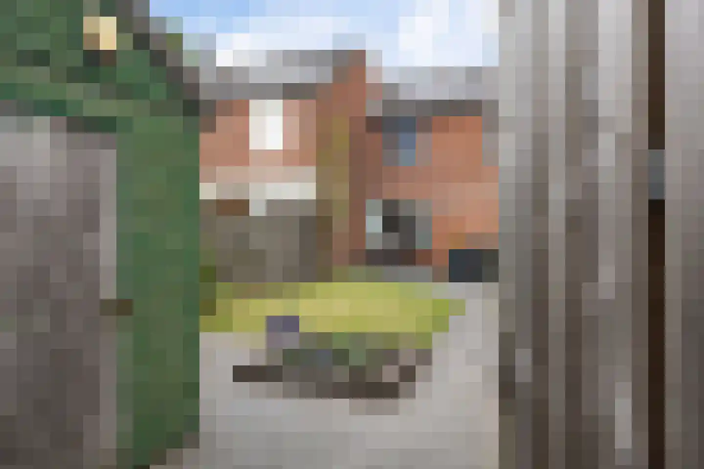 De Voorreep 11 Erica thumbnail 43