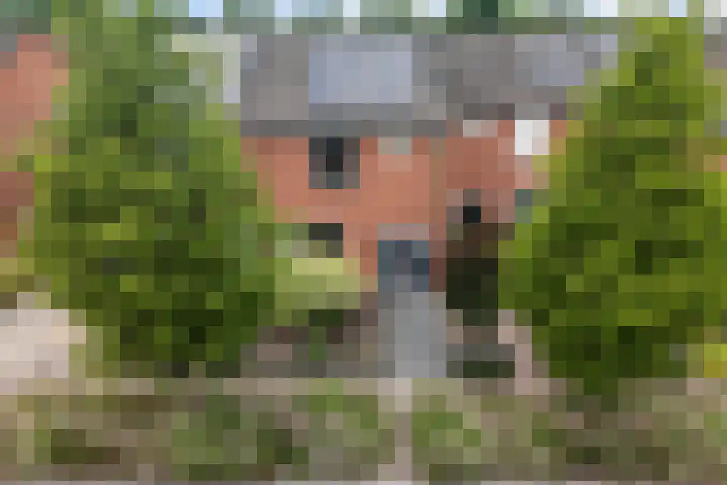 De Voorreep 11 Erica thumbnail 47
