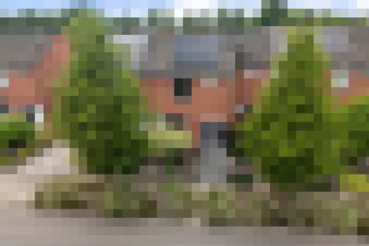 De Voorreep 11 Erica thumbnail 48