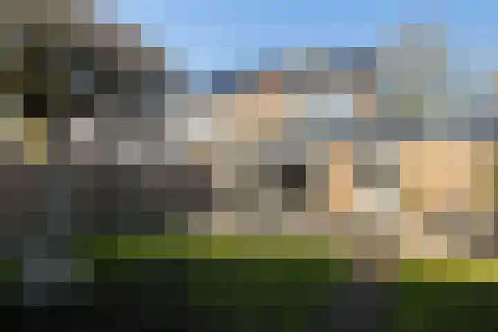De Voorreep 42 Erica thumbnail 44