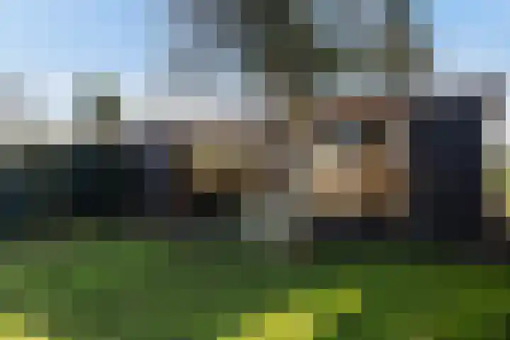 De Voorreep 42 Erica thumbnail 48