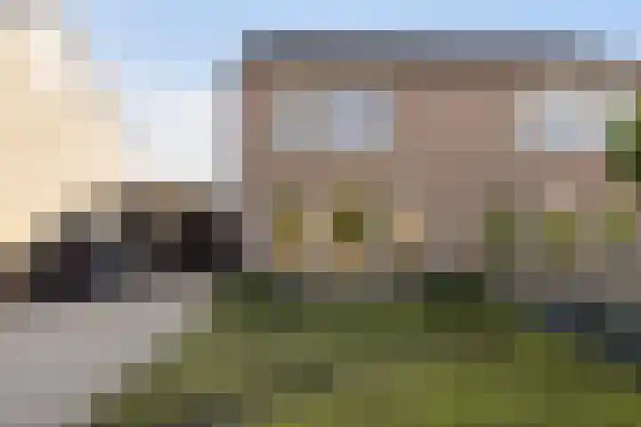 De Voorreep 42 Erica thumbnail 5