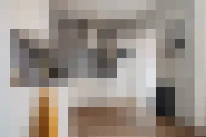 De Voorreep 5 Erica thumbnail 13