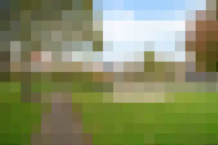De Voorreep 5 Erica thumbnail 38