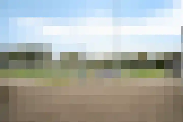 De Voorreep 5 Erica thumbnail 39