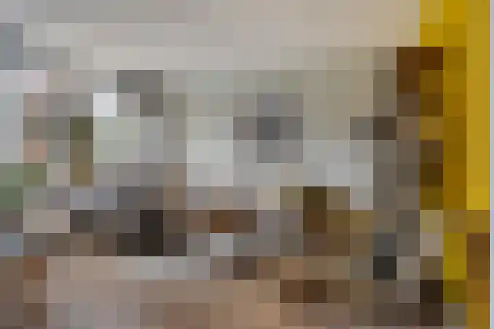 De Voorreep 5 Erica thumbnail 4