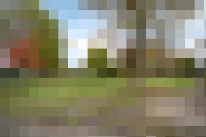 De Voorreep 5 Erica thumbnail 40