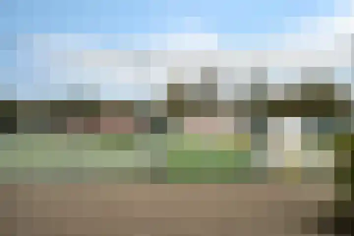 De Voorreep 5 Erica thumbnail 41
