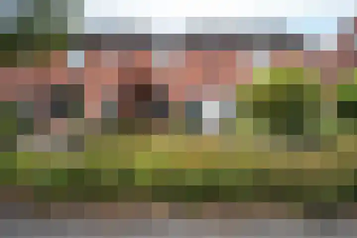 De Voorreep 5 Erica thumbnail 43