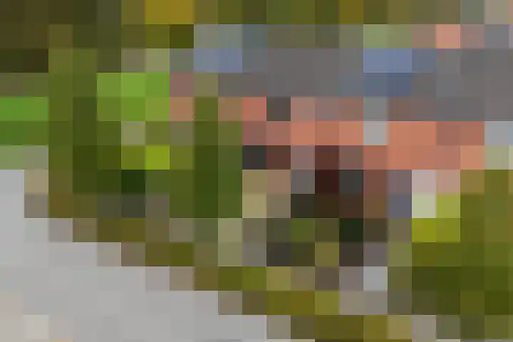De Voorreep 5 Erica thumbnail 45