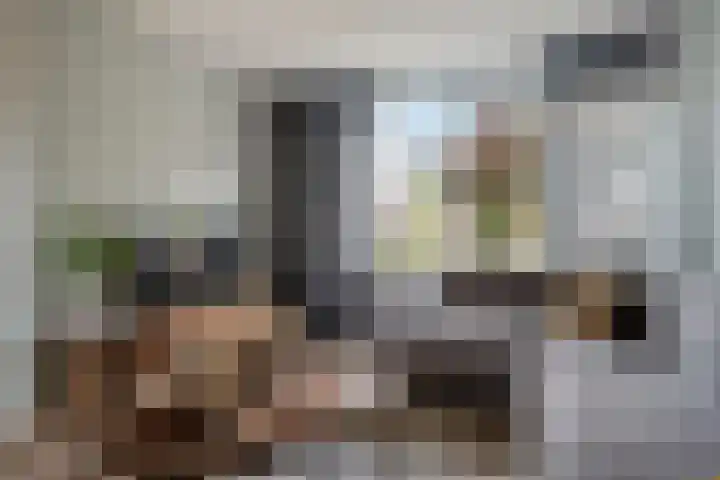 De Voorreep 5 Erica thumbnail 6
