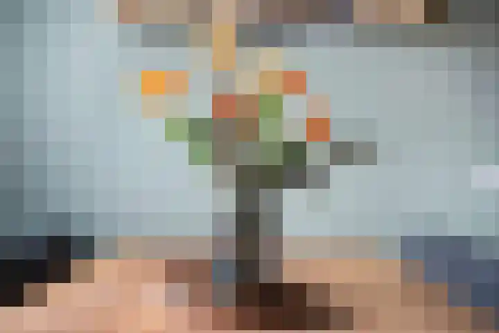 De Voorreep 5 Erica thumbnail 9