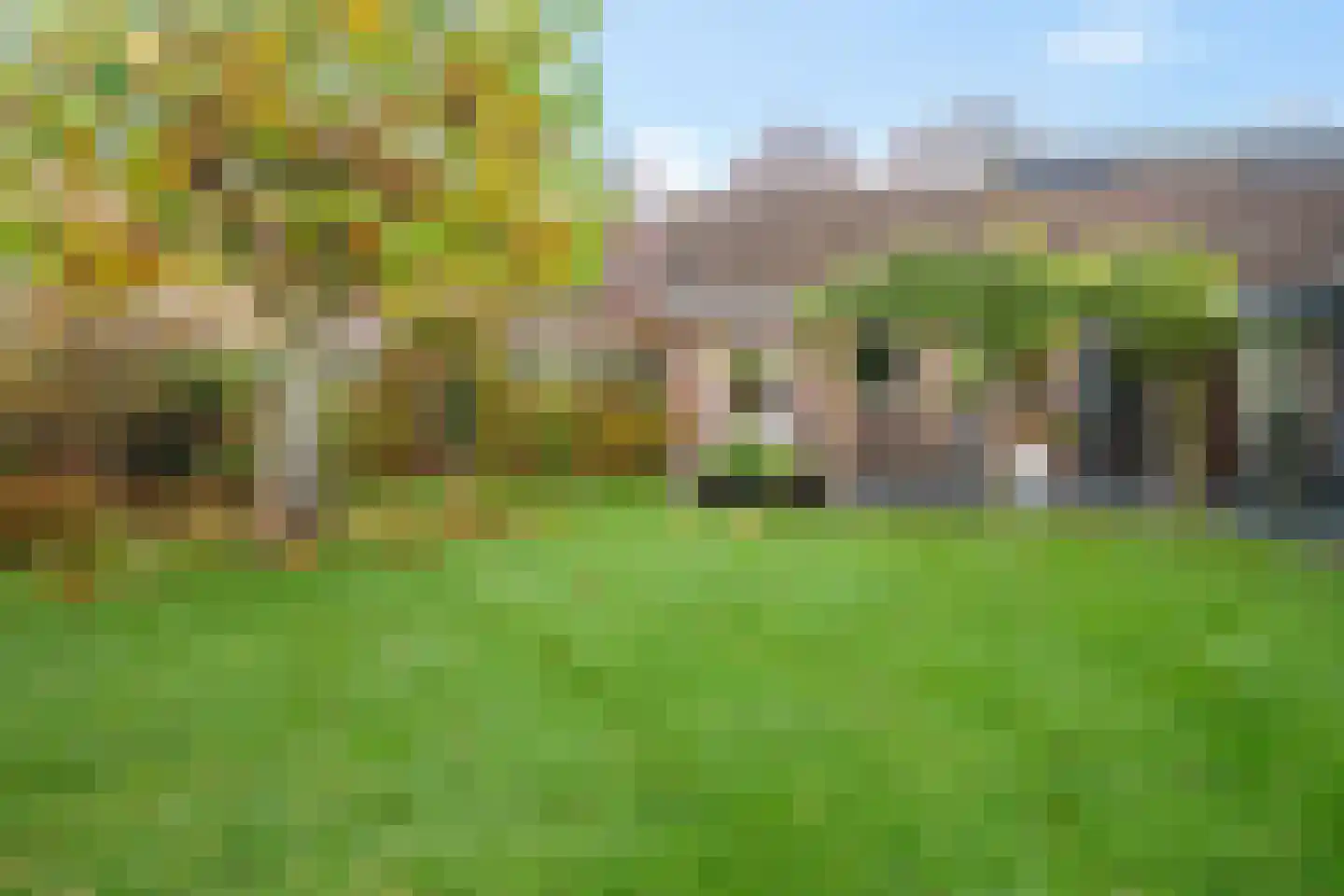 De Voorreep 65 Erica thumbnail 47