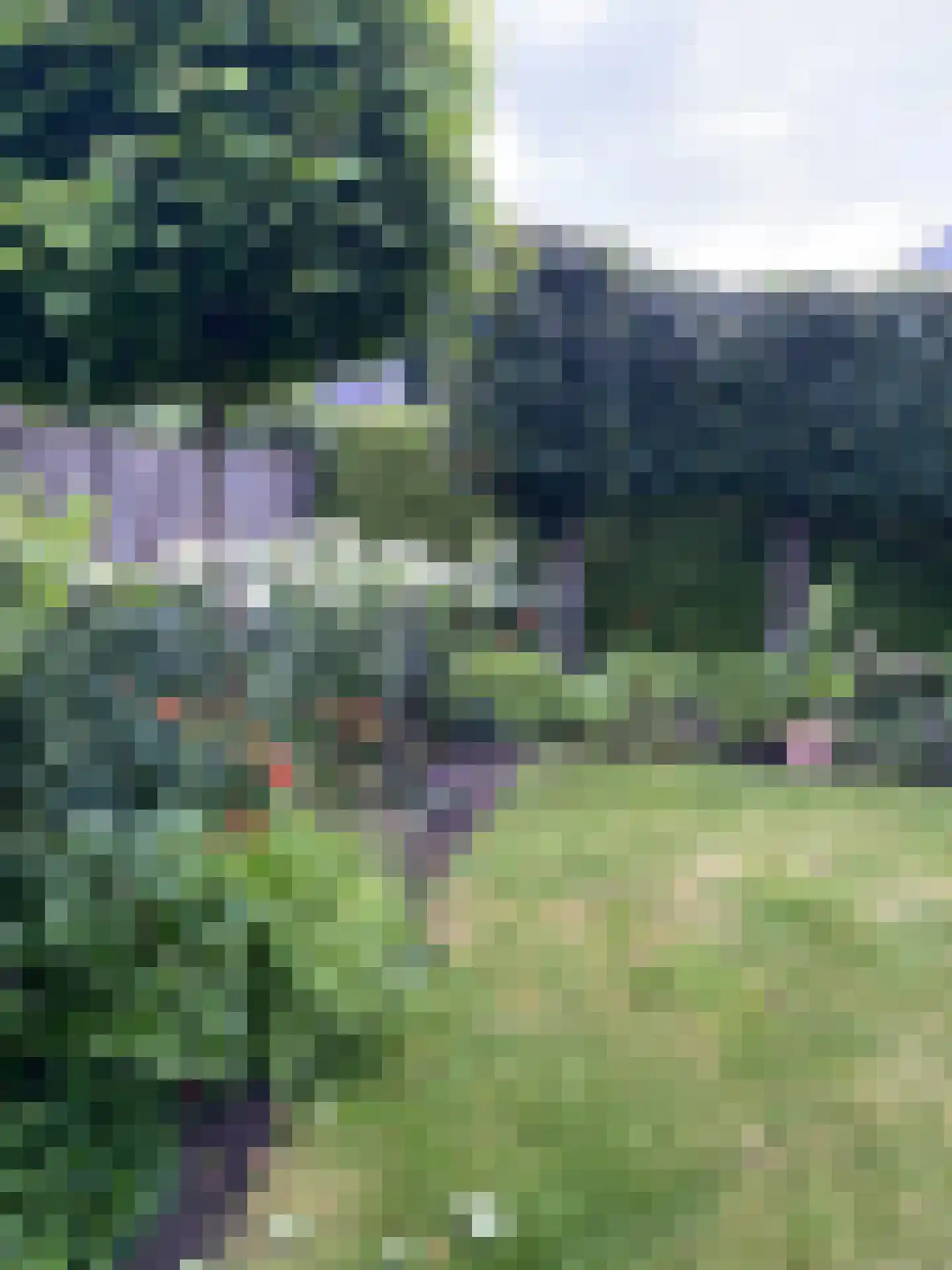 De Voorreep 65 Erica thumbnail 48