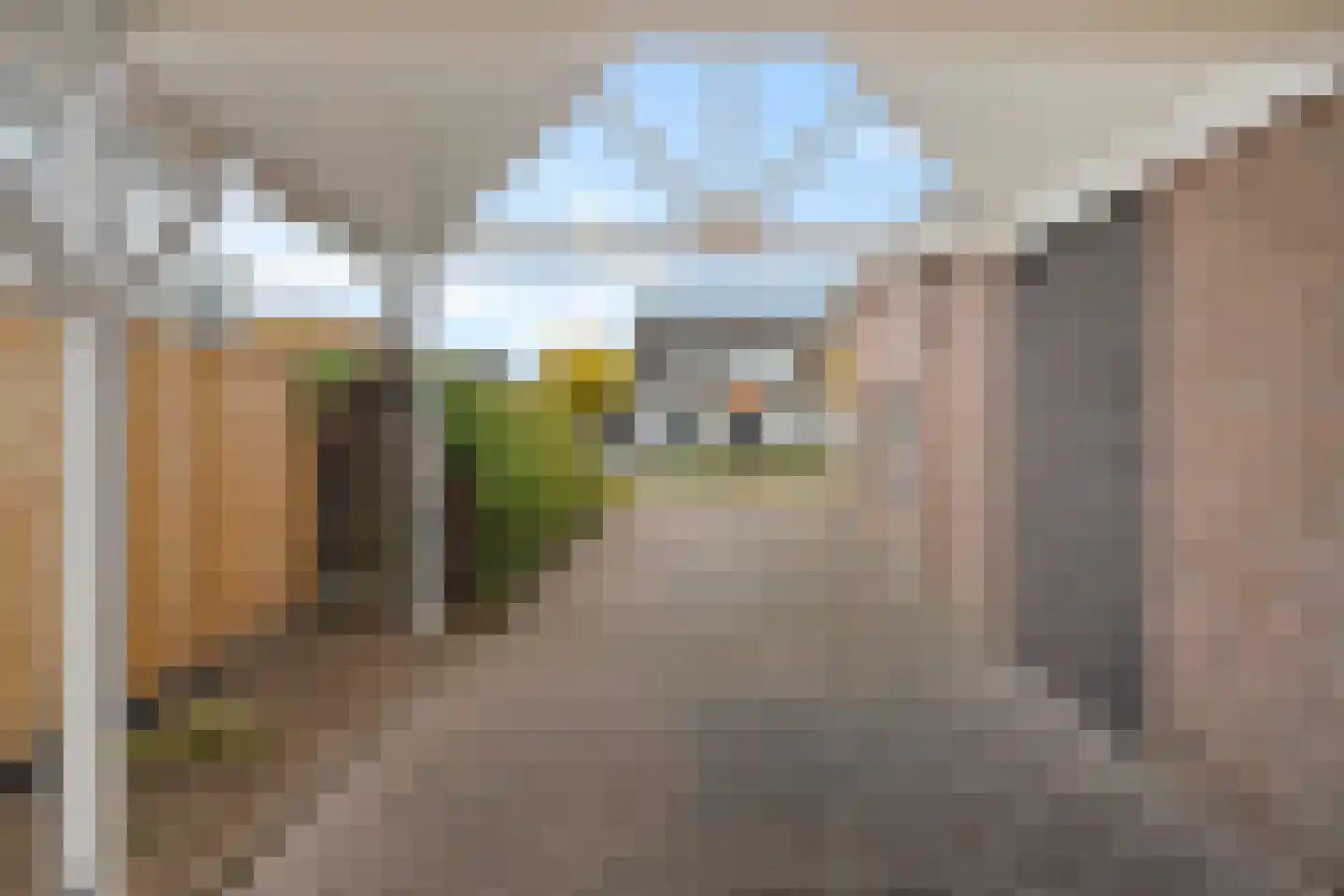 De Voorreep 65 Erica thumbnail 56