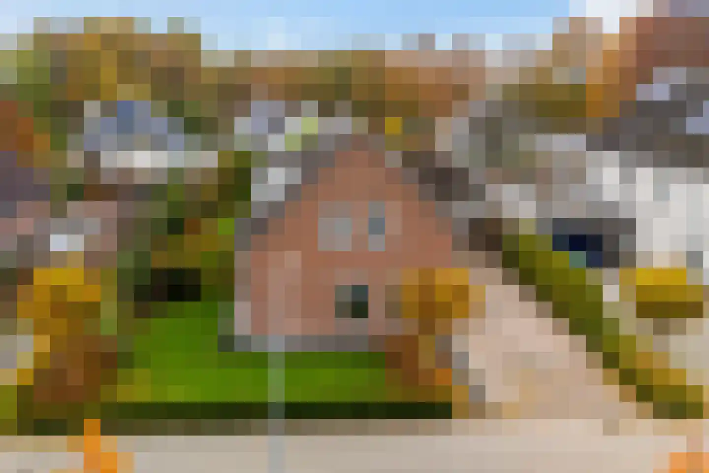 De Voorreep 65 Erica thumbnail 58