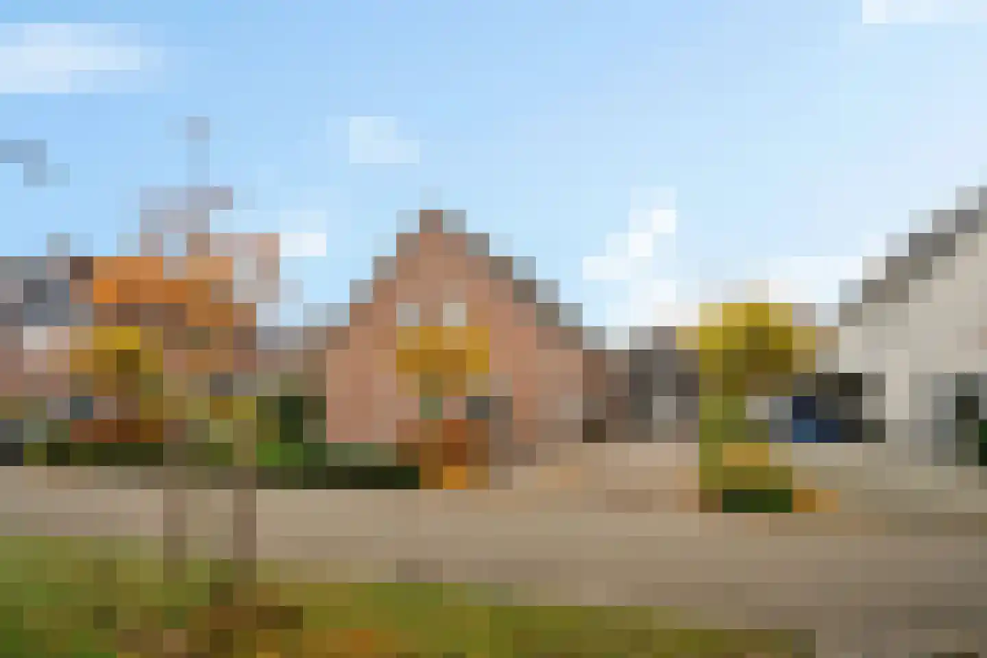 De Voorreep 65 Erica thumbnail 59