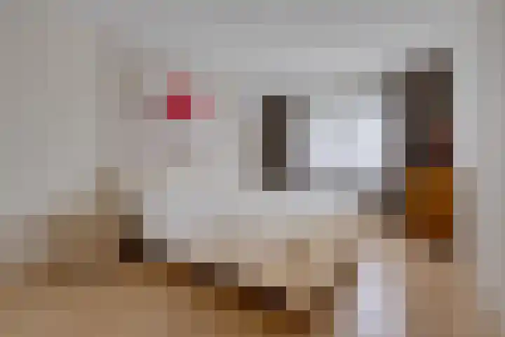 De Voorreep 67 Erica thumbnail 18