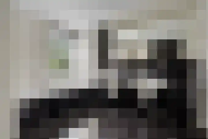 De Voorreep 67 Erica thumbnail 22