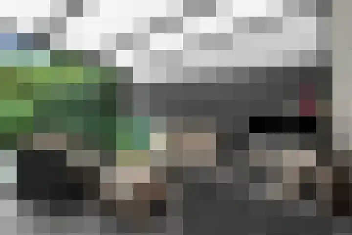 De Voorreep 67 Erica thumbnail 32