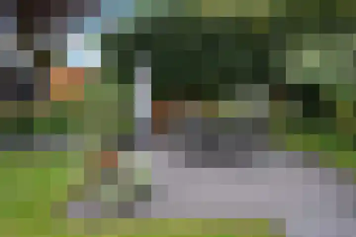 De Voorreep 67 Erica thumbnail 36