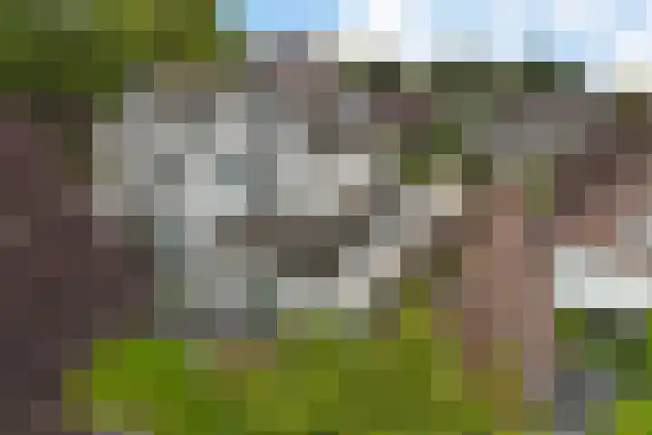 De Voorreep 67 Erica thumbnail 37