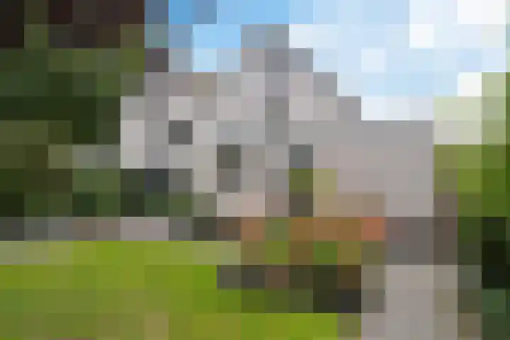 De Voorreep 67 Erica thumbnail 38