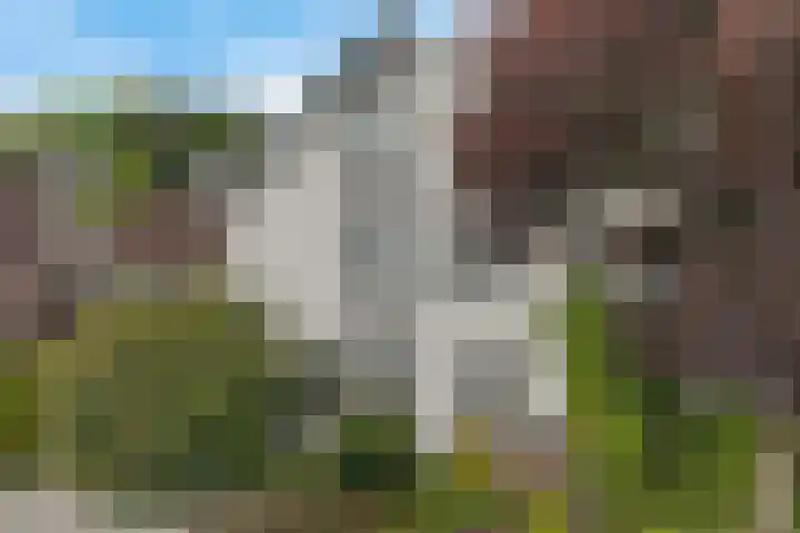 De Voorreep 67 Erica thumbnail 41