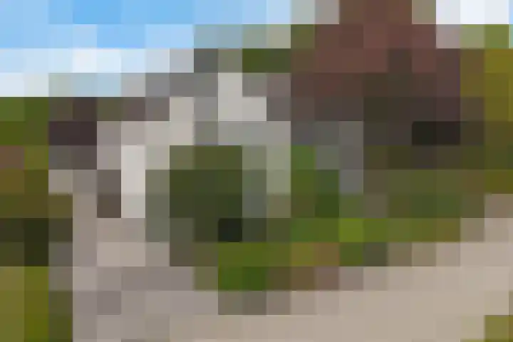 De Voorreep 67 Erica thumbnail 42