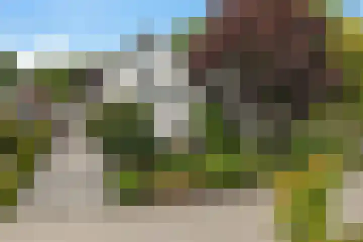 De Voorreep 67 Erica thumbnail 43