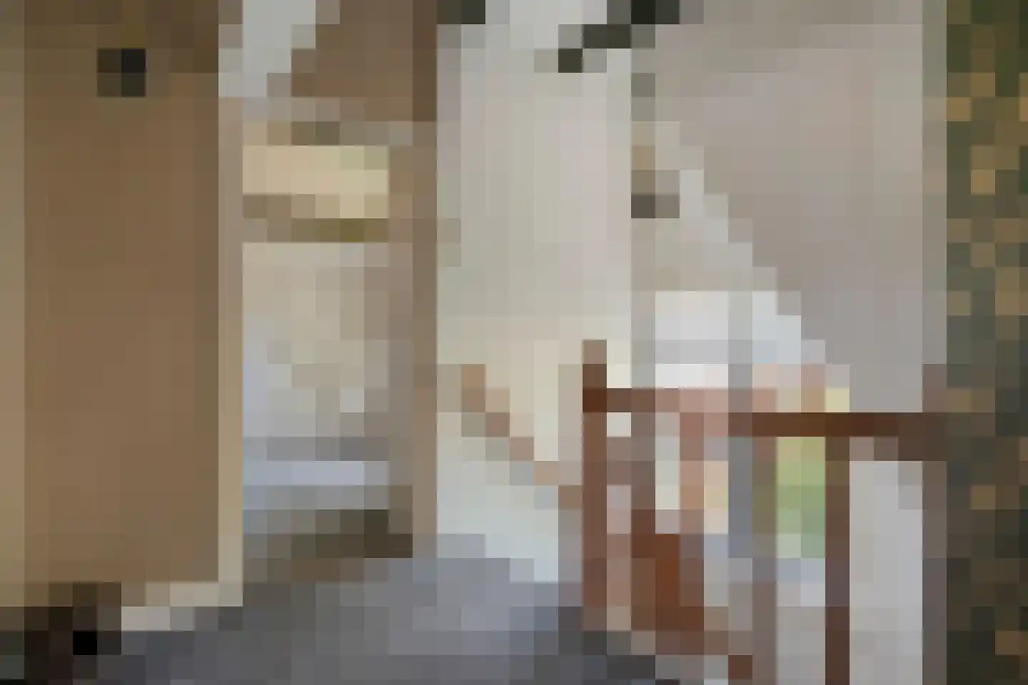 De Voorst 1 Vollenhove thumbnail 27