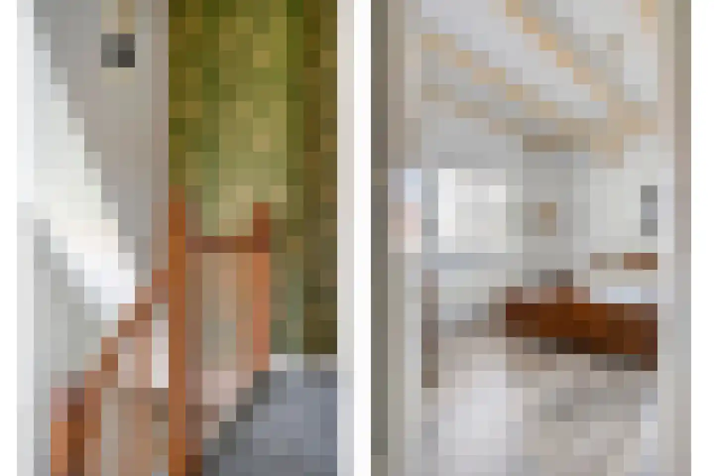 De Voorst 1 Vollenhove thumbnail 29