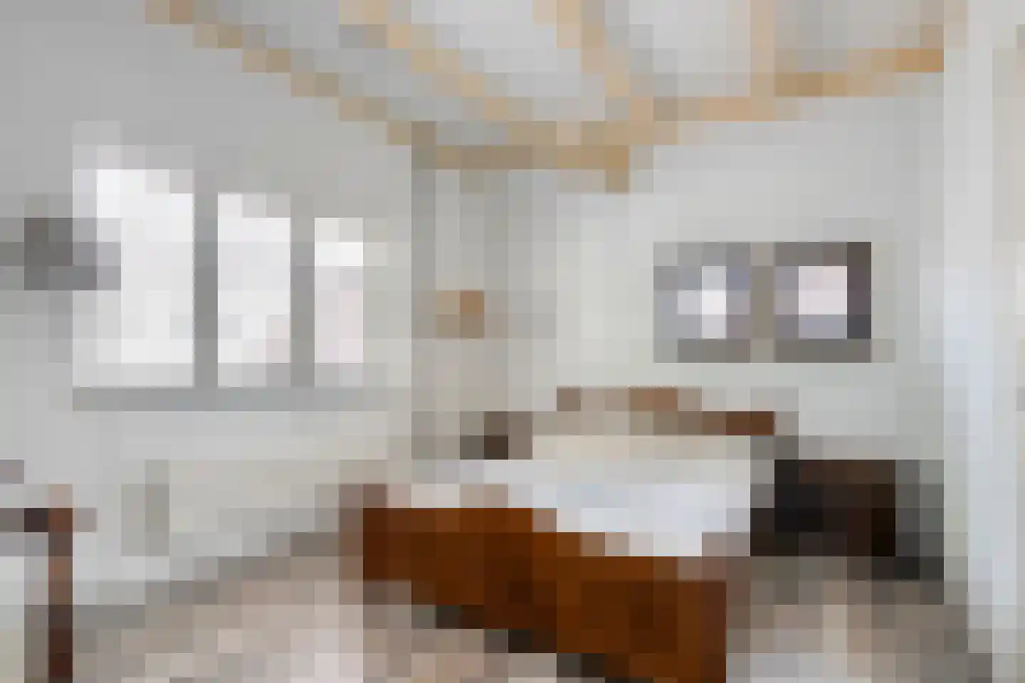 De Voorst 1 Vollenhove thumbnail 30