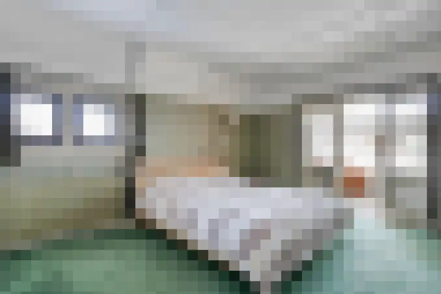 De Voorst 1 Vollenhove thumbnail 32