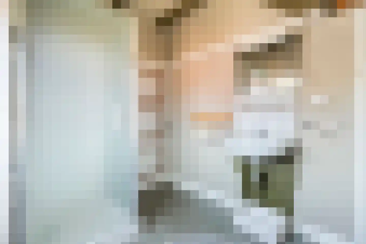 De Voorst 1 Vollenhove thumbnail 37