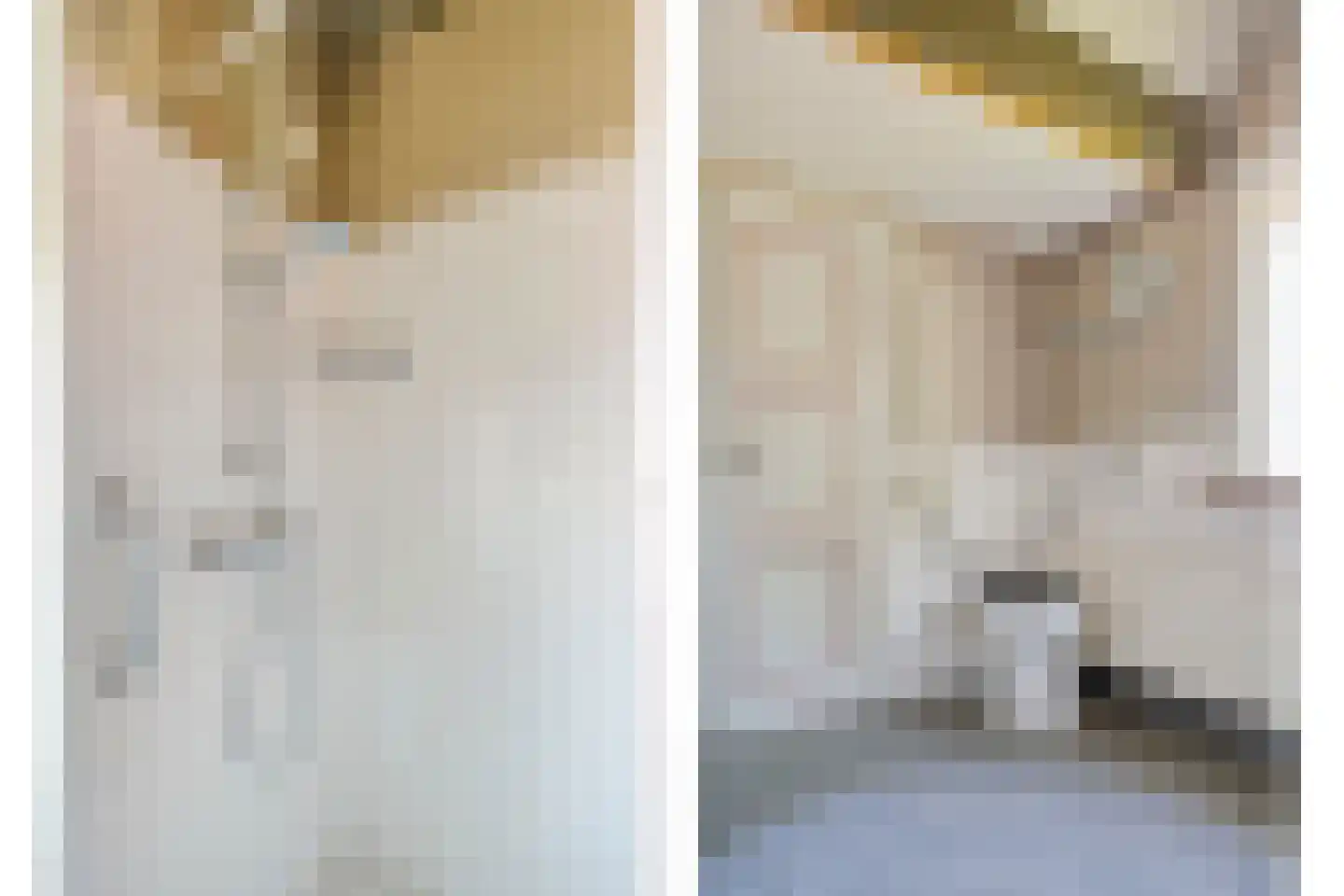 De Voorst 1 Vollenhove thumbnail 38