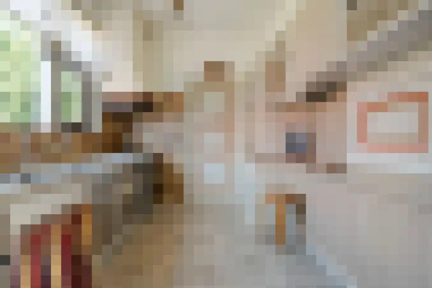De Voorst 1 Vollenhove thumbnail 4