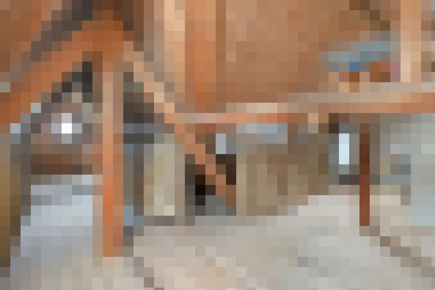 De Voorst 1 Vollenhove thumbnail 45