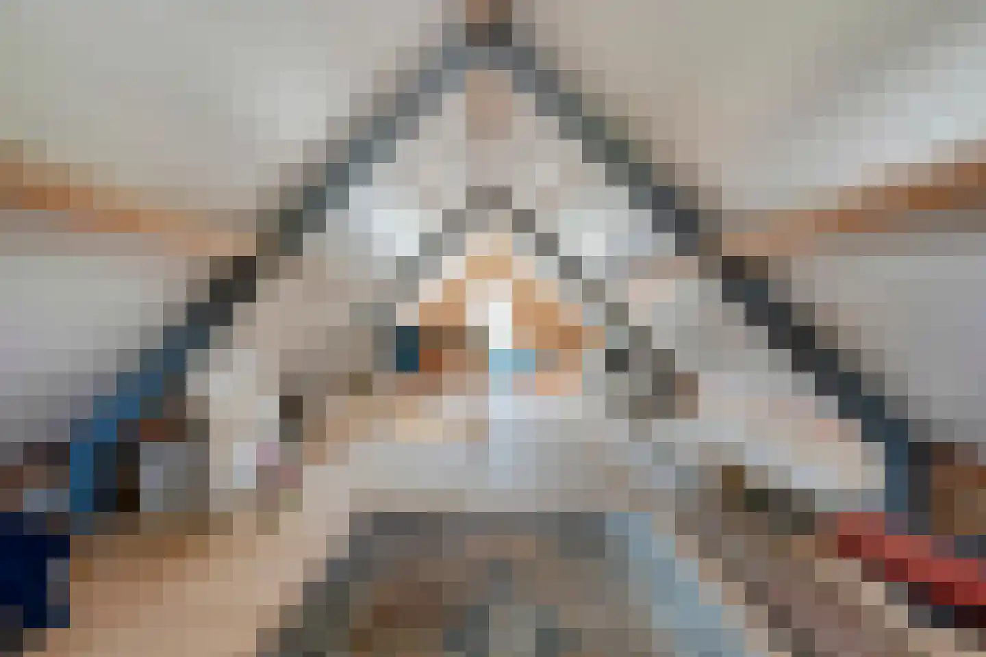 De Voorst 1 Vollenhove thumbnail 56