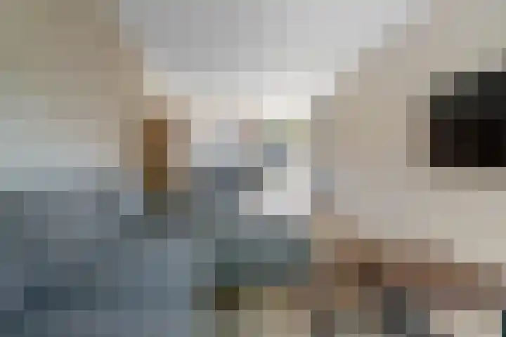 de Voorstenkamp 1134 Nijmegen thumbnail 7