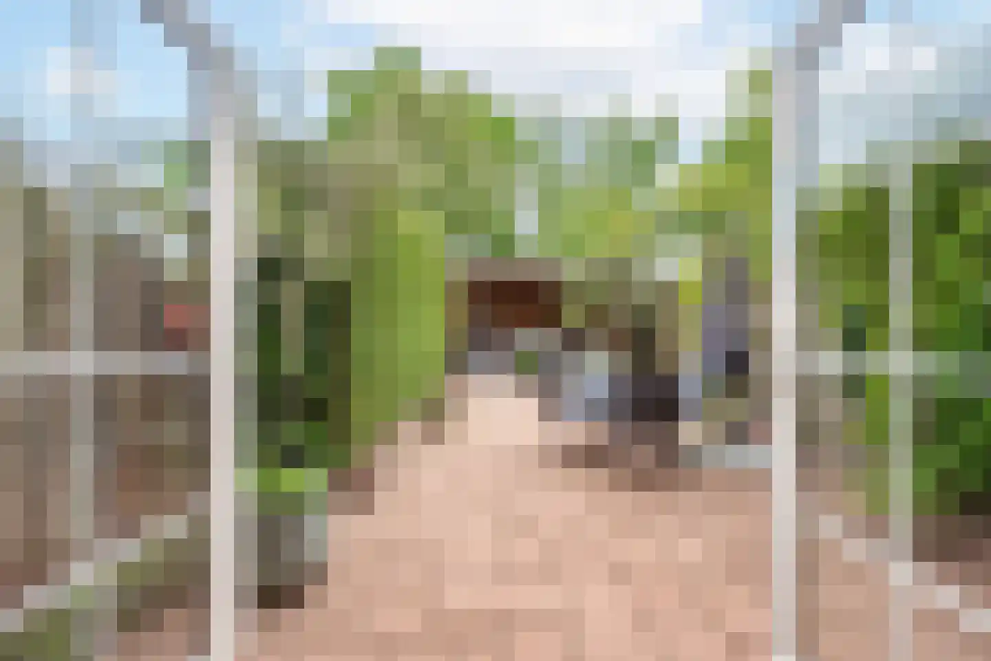 de Voorstenkamp 1158 Nijmegen thumbnail 4