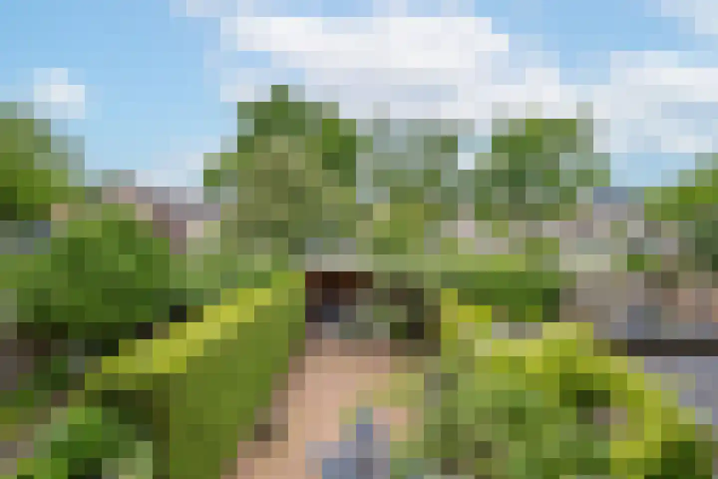 de Voorstenkamp 1158 Nijmegen thumbnail 48