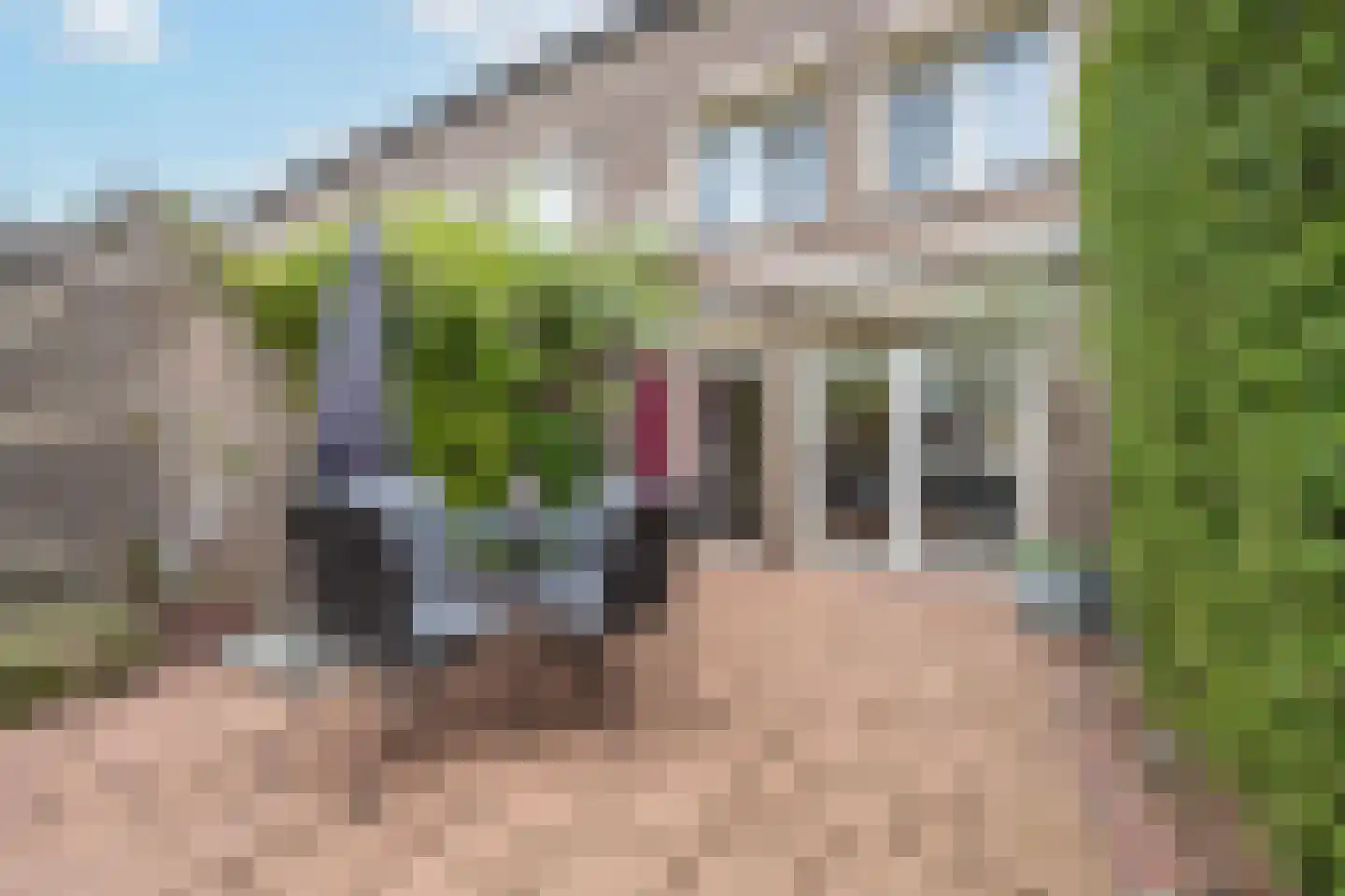 de Voorstenkamp 1158 Nijmegen thumbnail 49