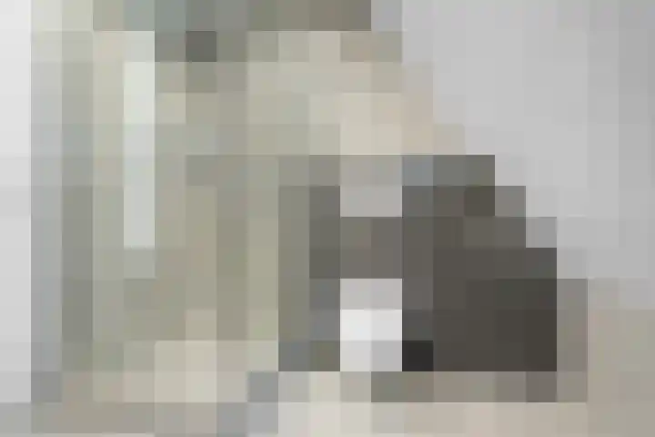 de Voorstenkamp 1384 Nijmegen thumbnail 16