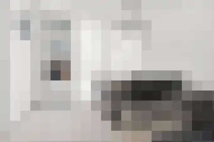 de Voorstenkamp 1384 Nijmegen thumbnail 4