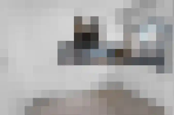 de Voorstenkamp 1384 Nijmegen thumbnail 5