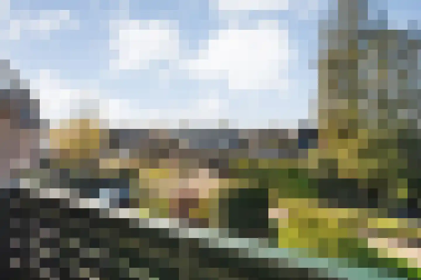 de Voortmors 110 Weerselo thumbnail 15