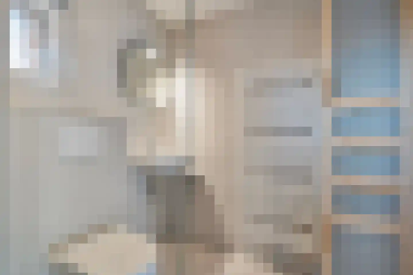 de Voortmors 110 Weerselo thumbnail 19