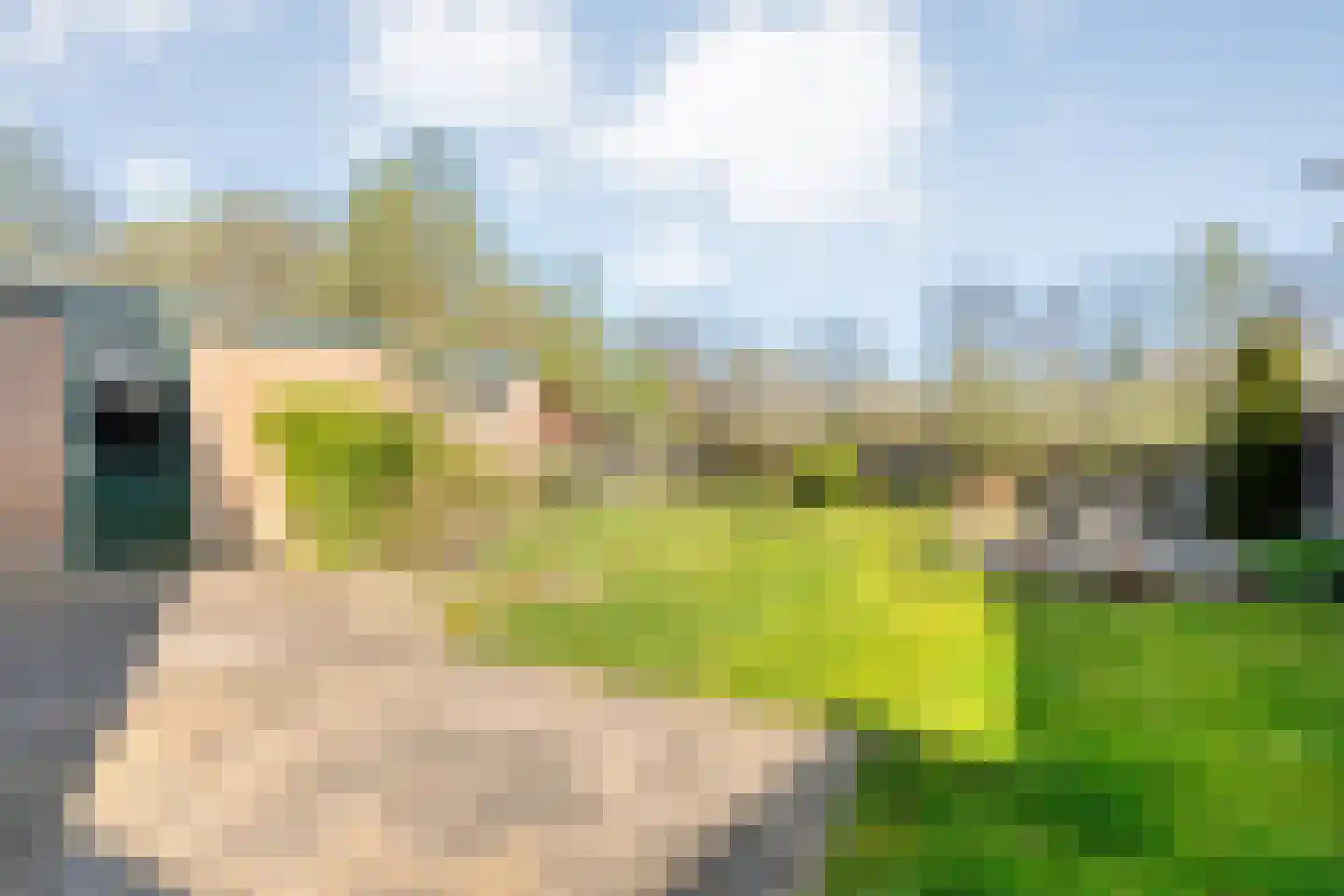 de Voortmors 110 Weerselo thumbnail 21