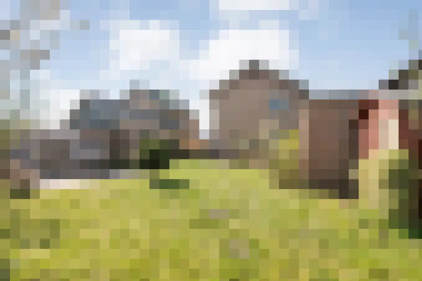 de Voortmors 110 Weerselo thumbnail 23